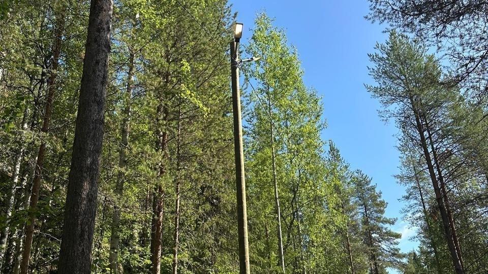 &quot;На Севере – твой проект&quot;: в Зеленоборском осветили лыжную трассу